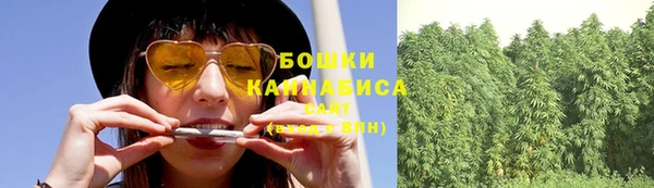 шишки Нязепетровск