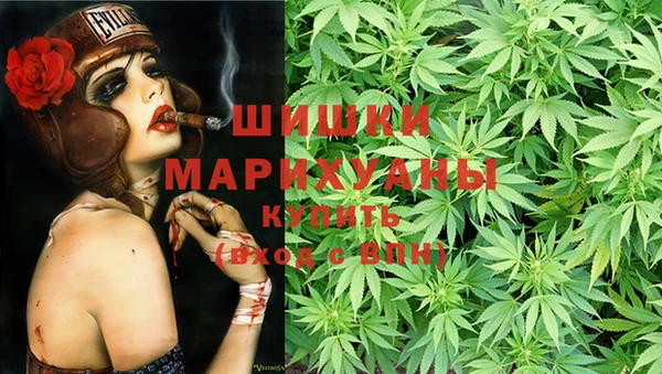 MDMA Новодвинск