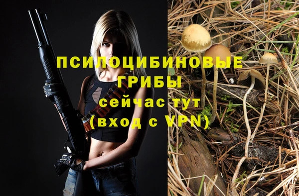 шишки Нязепетровск