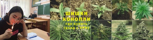 кокаин колумбия Новозыбков